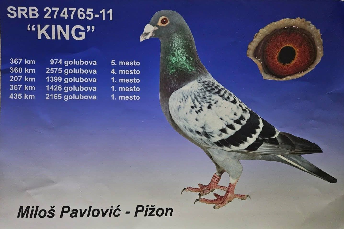Slika 2