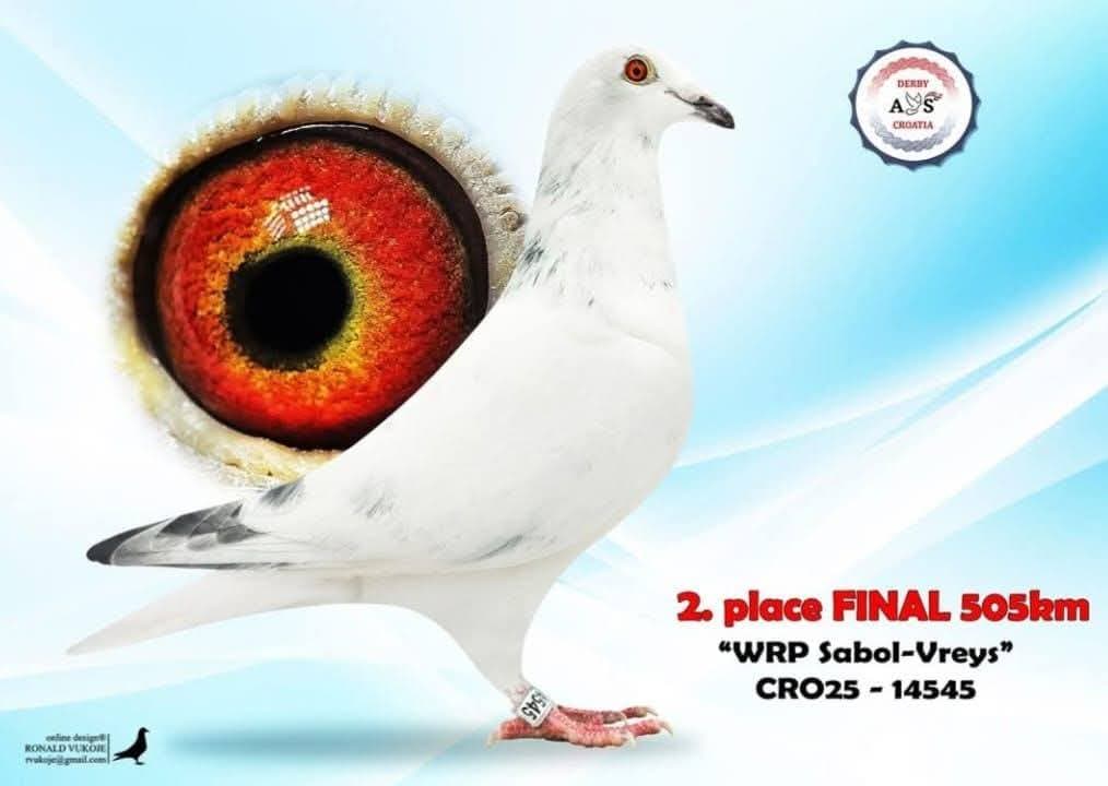 Slika 2